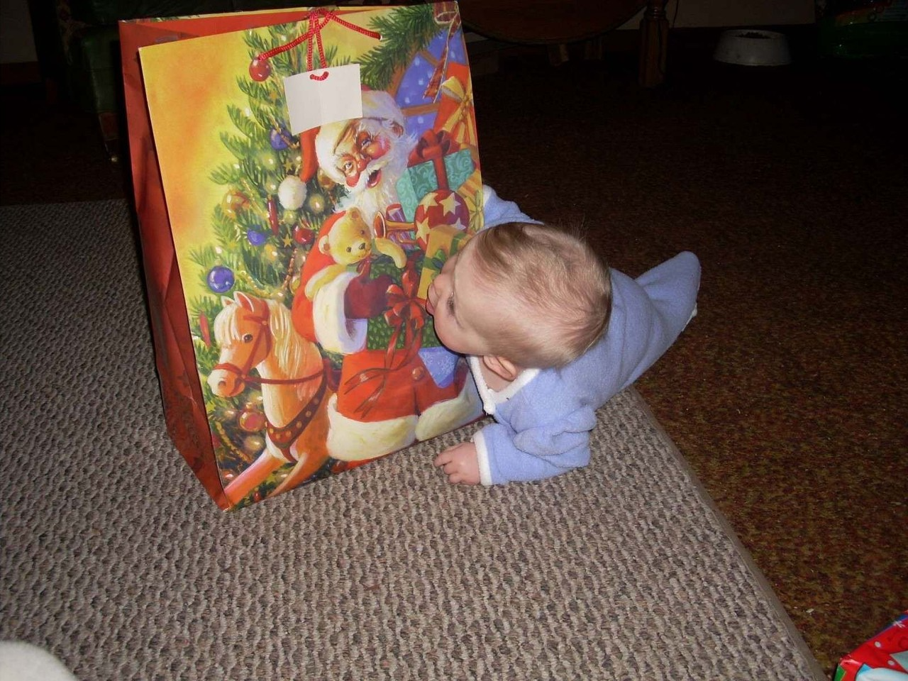 Another author photo of her baby's First Christmas.